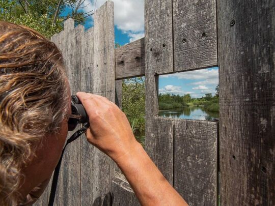 Randonnée le Grand Marais de Liesse
(© Champagne Picarde/ Sylvain Prémont)