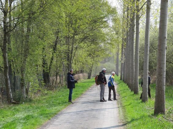 Sortie nature du 14 avril 2019