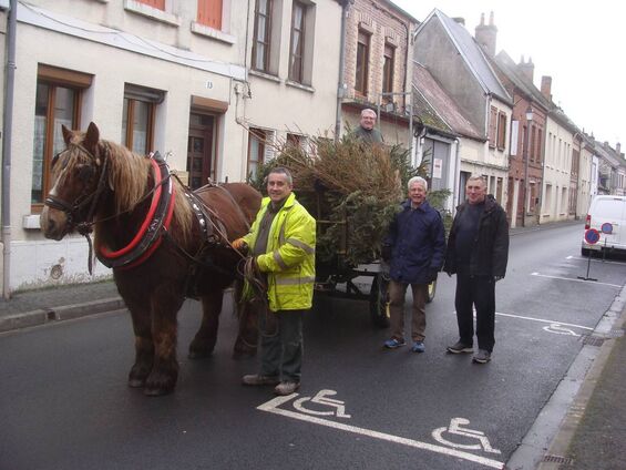 Ramassage des sapins de Noël