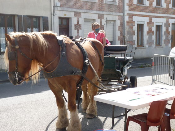 Fête des Associations et des Producteurs locaux Fête des Associations et des Producteurs locaux